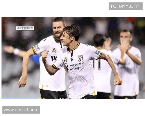 珀斯光荣与阿德莱德联历史交锋数据分析及战绩回顾